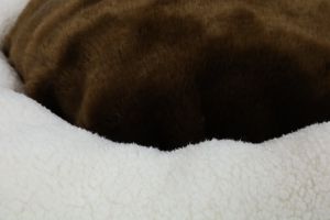 Легло кръгло Whome за кучета и котки, размер L, Екрю/Кафяв